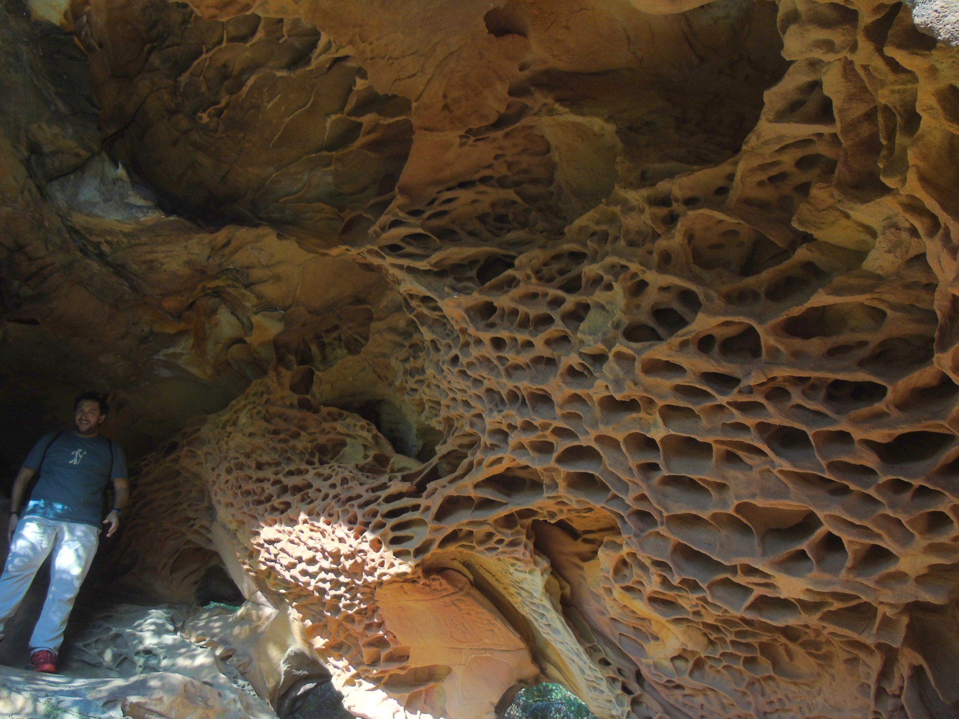 47580273_10215177684746997_5328030990818344960_o