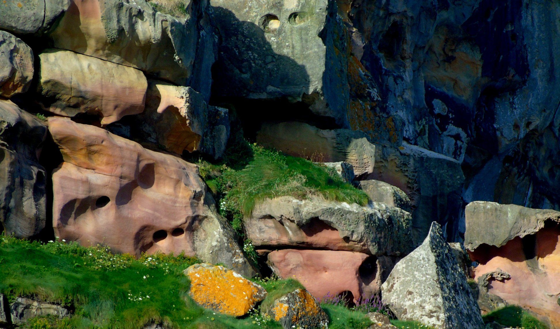 47580948_10215177731388163_79752543344787456_o