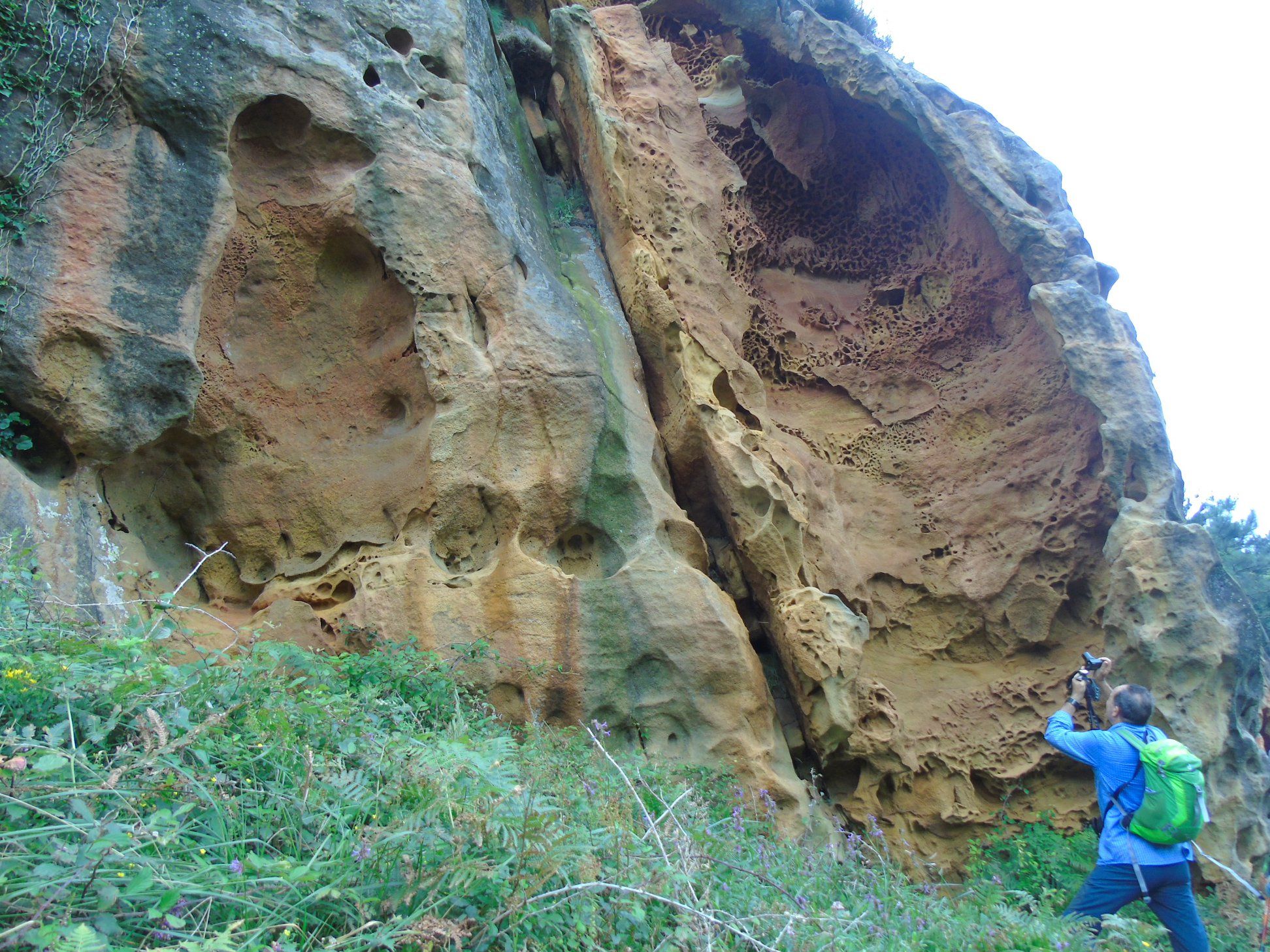 47683628_10215177712147682_5469469581045137408_o