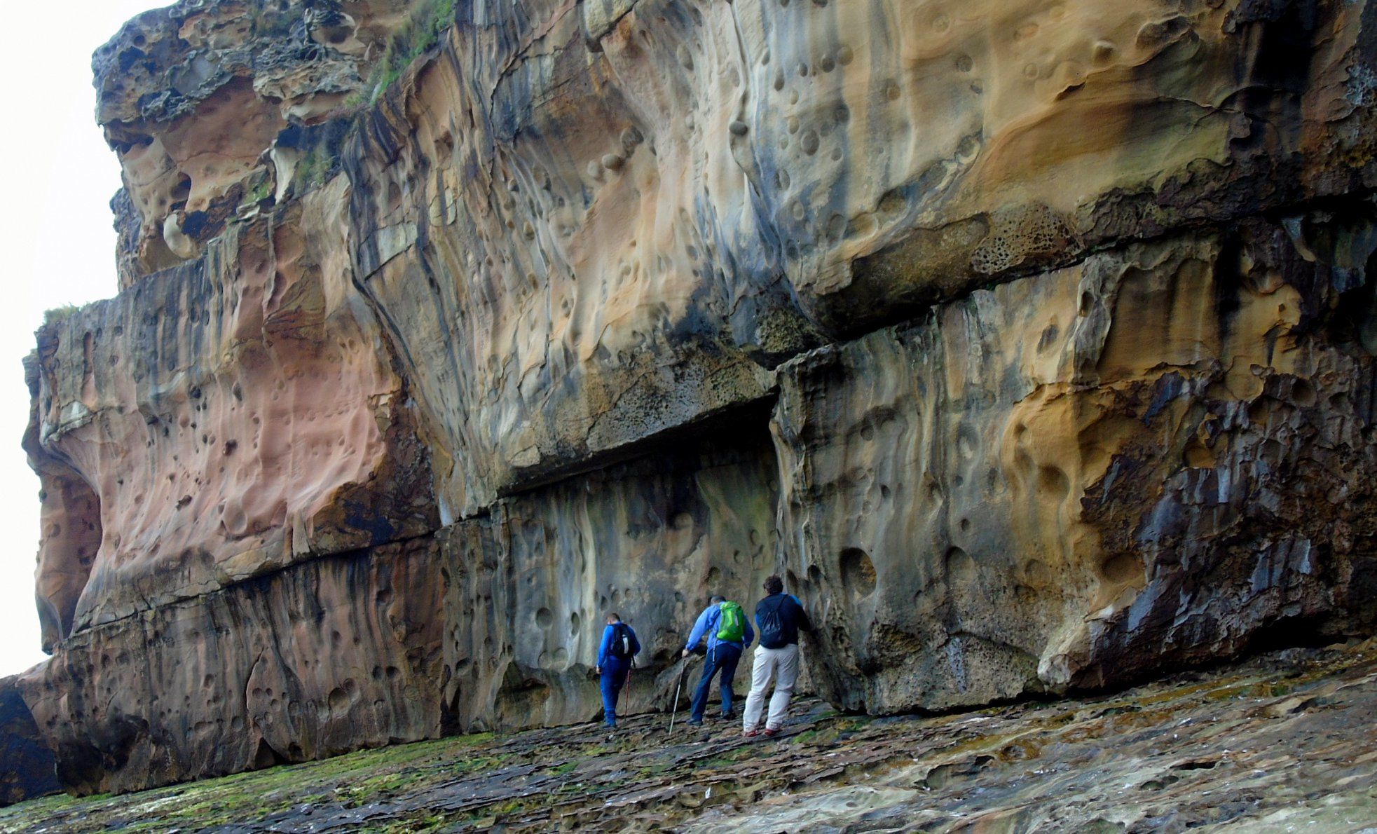 47683916_10215177711507666_7401784945292607488_o