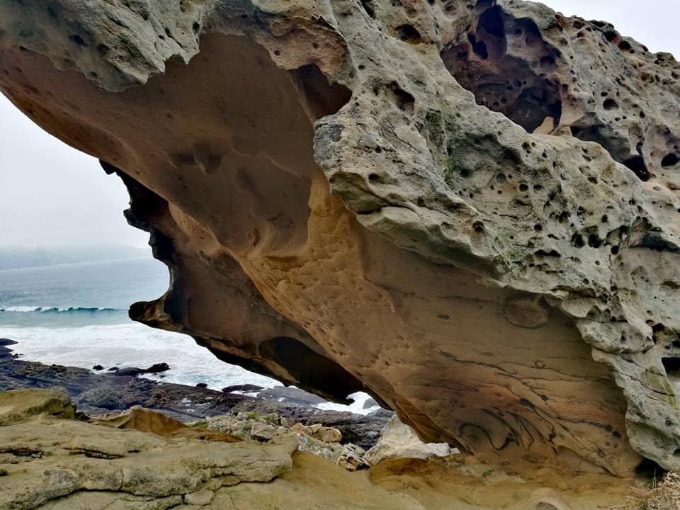 47684943_10215165124512999_3811384644536893440_n