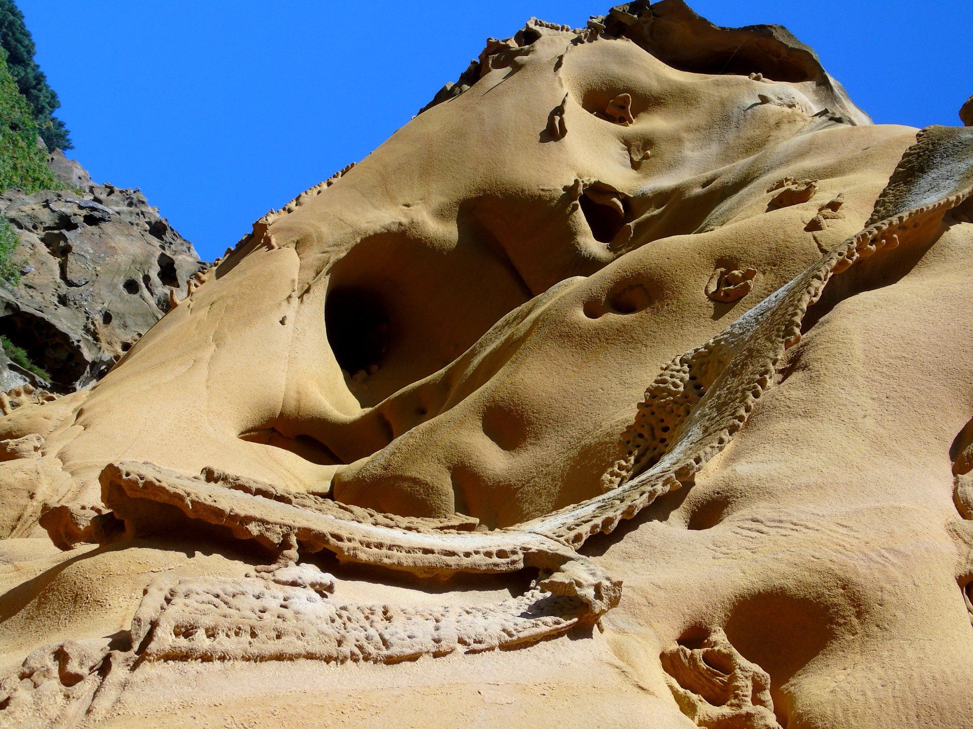 47685232_10215177685187008_3096978171275247616_o