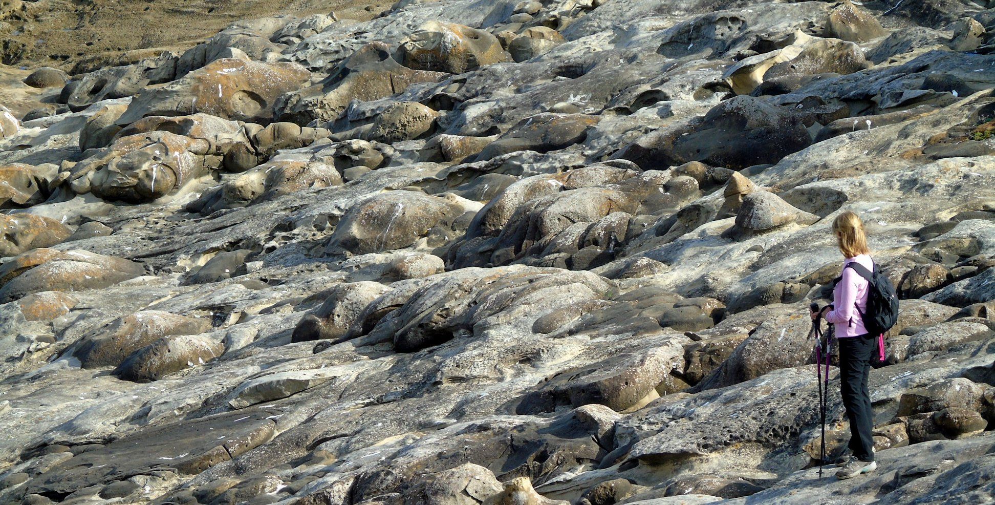 47685760_10215177731068155_3189105151054970880_o