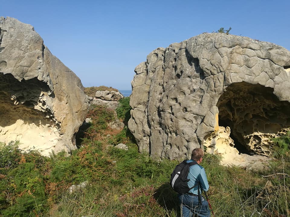 47686458_10215177835590768_2104847941444304896_n