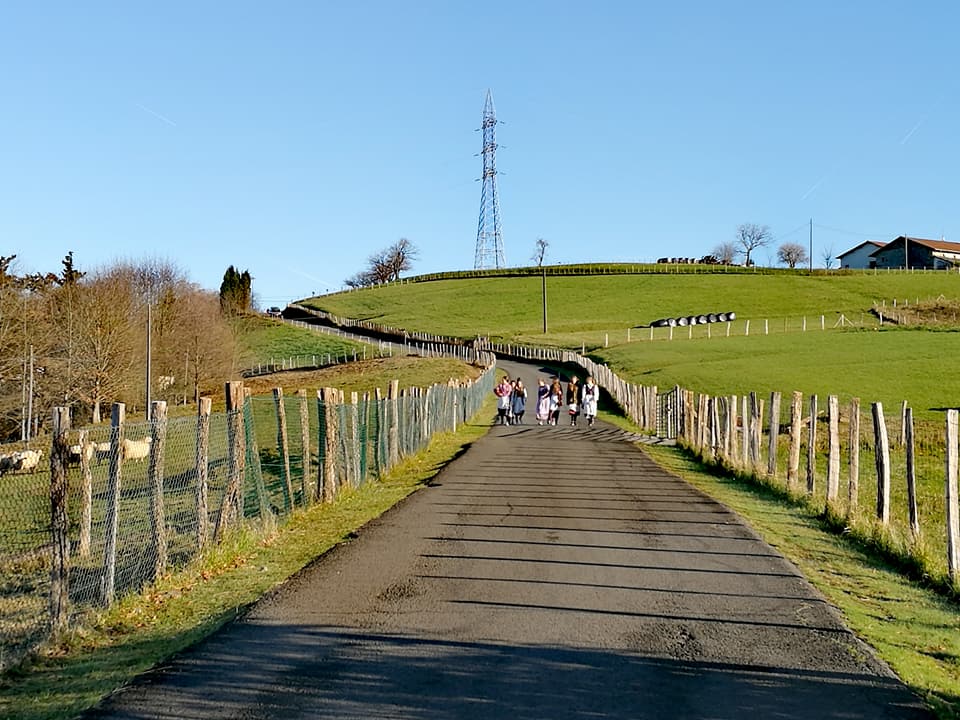 25552022_10212719756700332_2875503972524303823_n