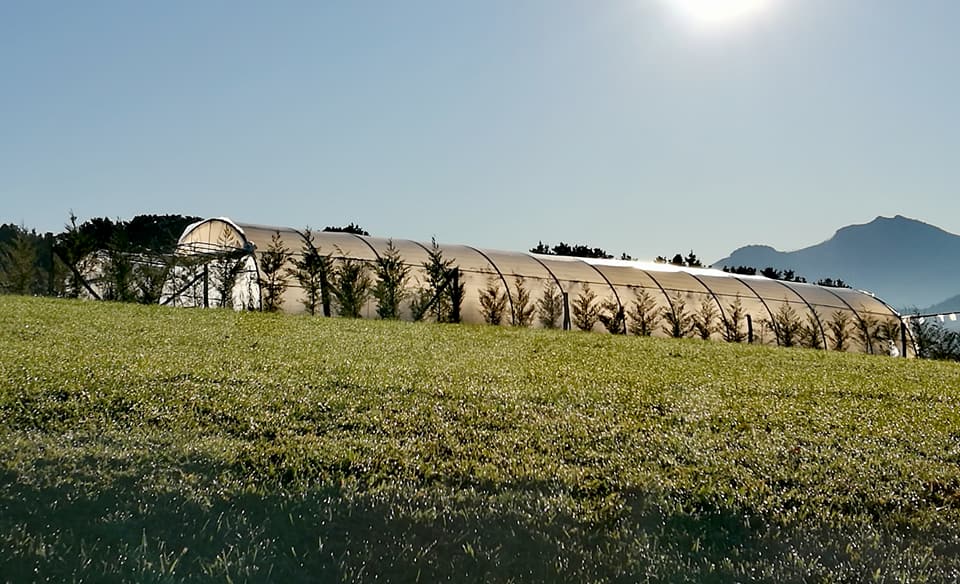 25552060_10212719756380324_781678864315096230_n