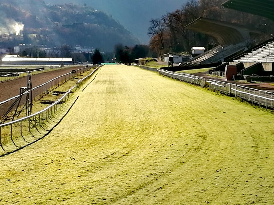 25552388_10212719758380374_8499630690000161242_n