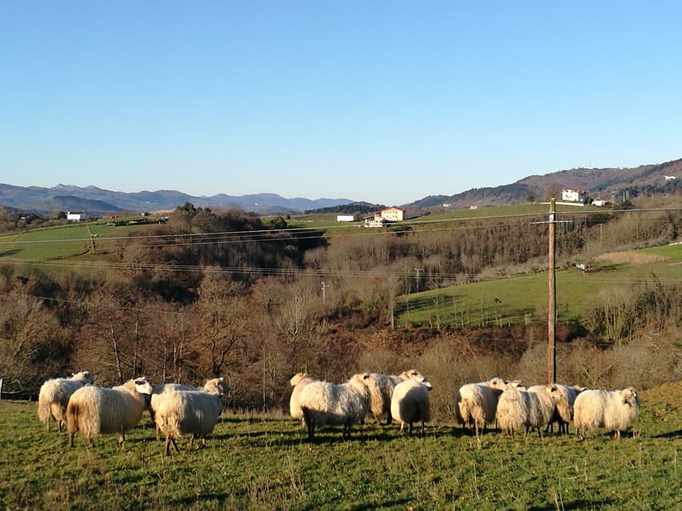 25659978_10212719784781034_5354749432886540249_n