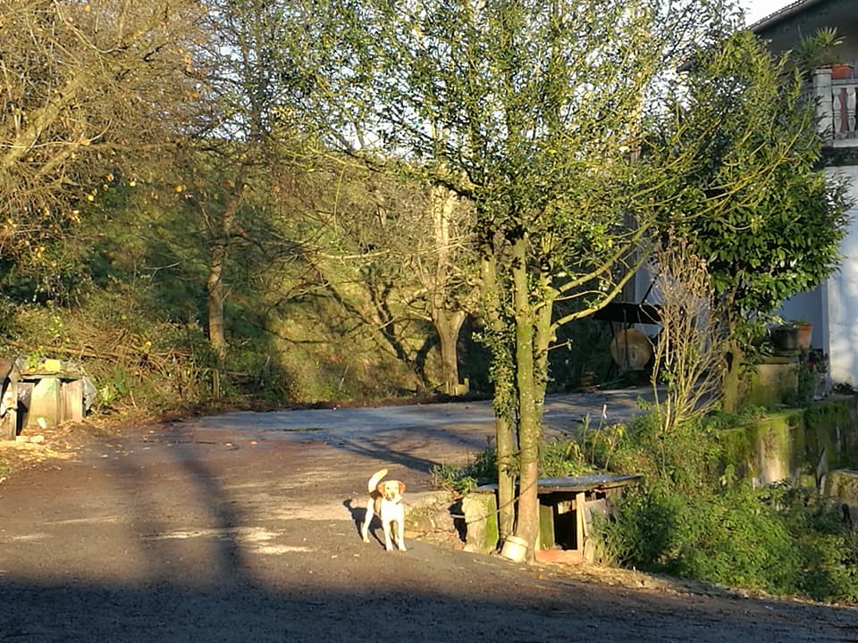 25660095_10212719786621080_5162074131359060563_n