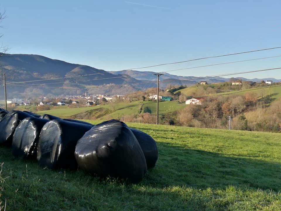 25660238_10212719784421025_2668598692737077596_n