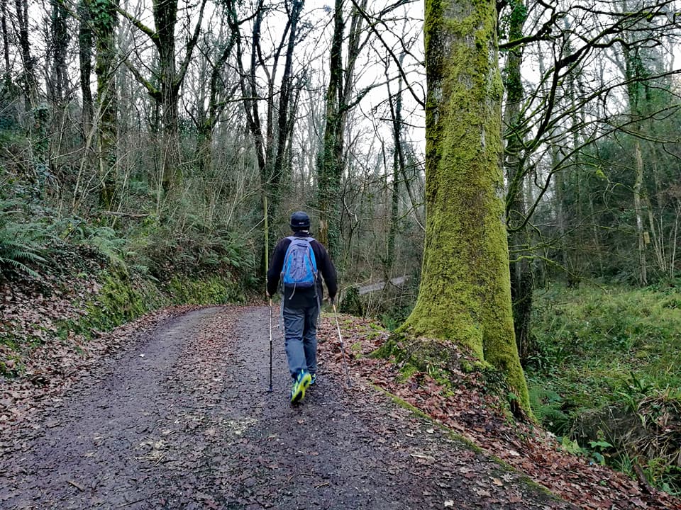 25994515_10212719751180194_5443070895631660030_n