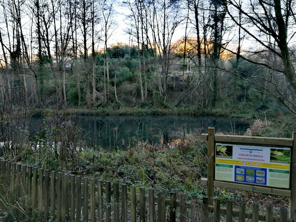 26047028_10212719750300172_4500883278114911666_n