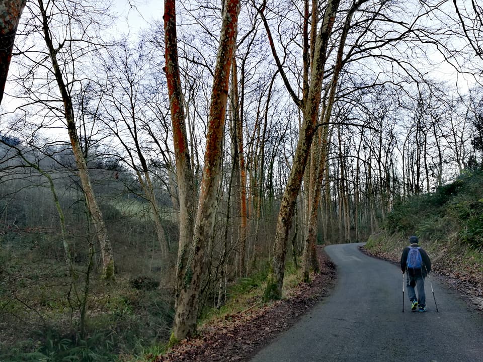 26047181_10212719749700157_932418391728242993_n