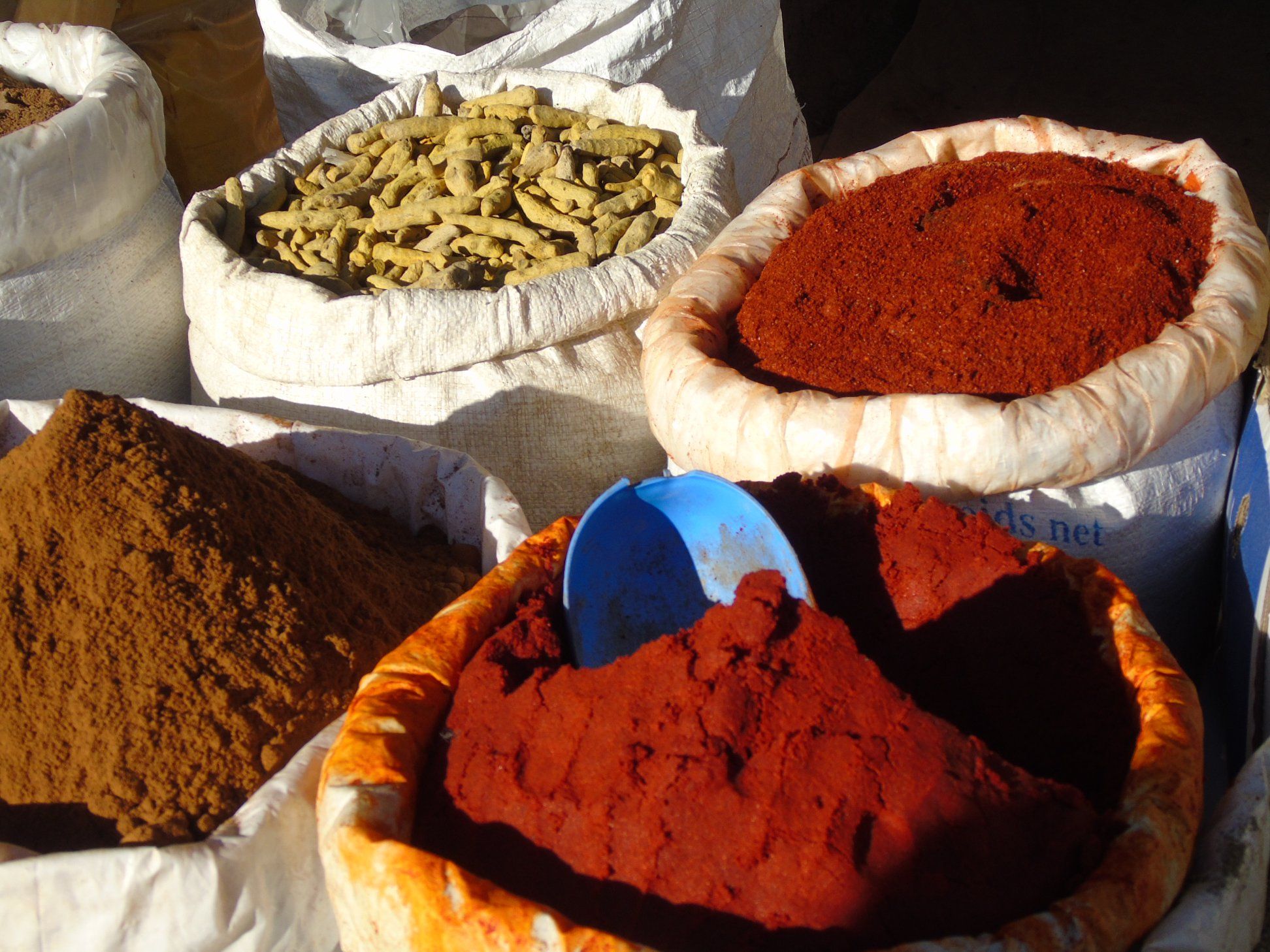 49498888_10215385759708741_214997283924606976_o