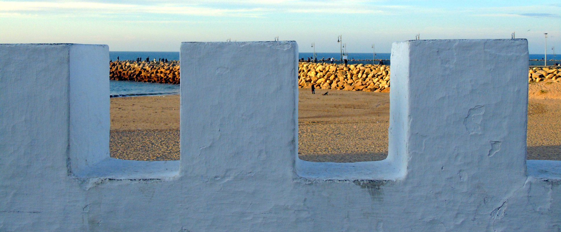 49503095_10215385728947972_6680705458652577792_o