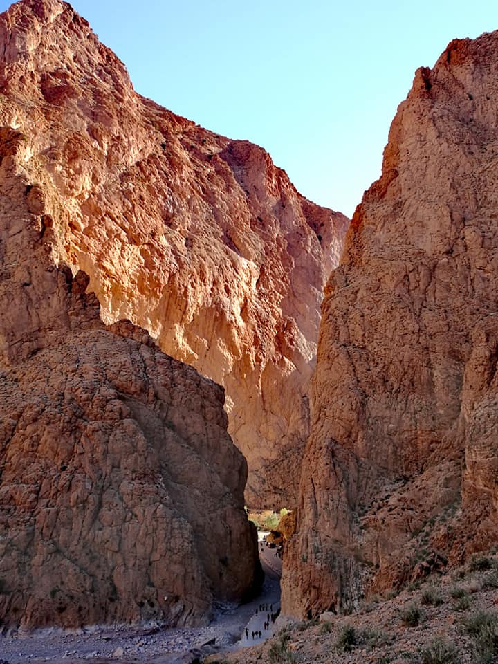 49597622_10215388908947470_6542344375702126592_n