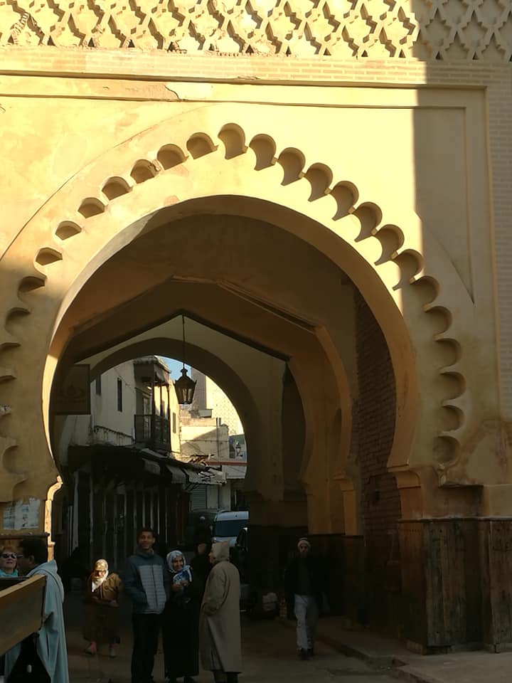 49661566_10215388897507184_6078841370657685504_n