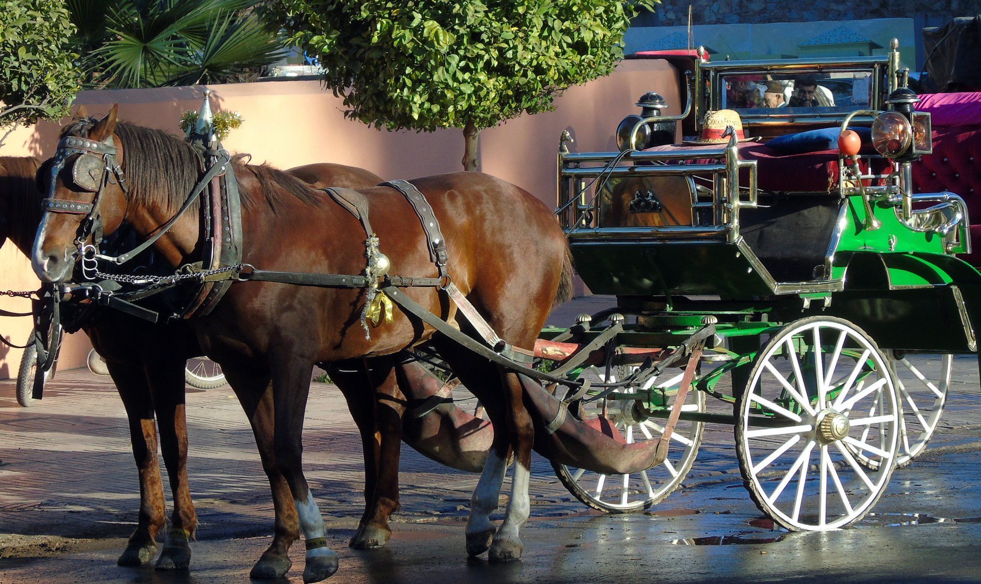 49728079_10215385659026224_3671211287250993152_o