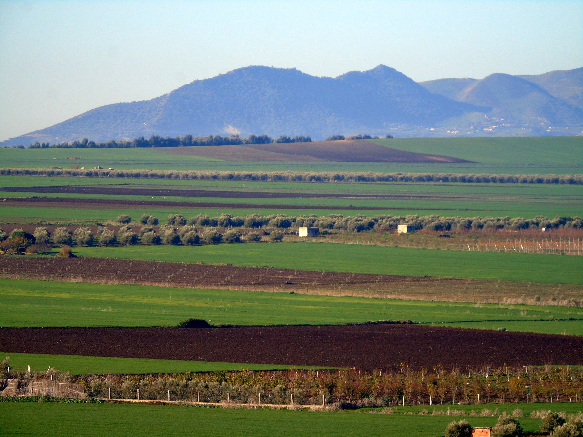 49778651_10215385784149352_7028184041069215744_o