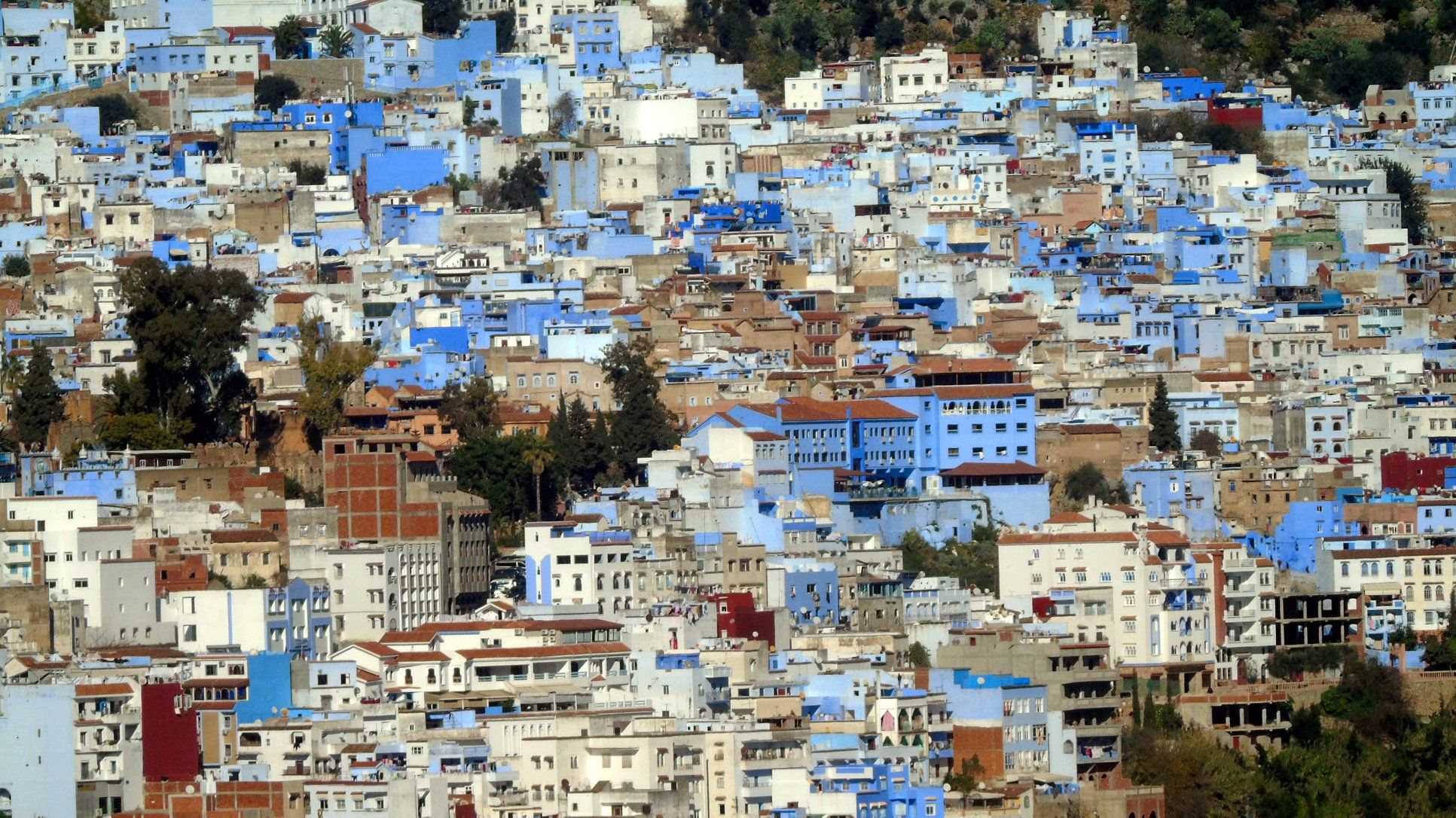 49806300_10215385777269180_2238532174376599552_o