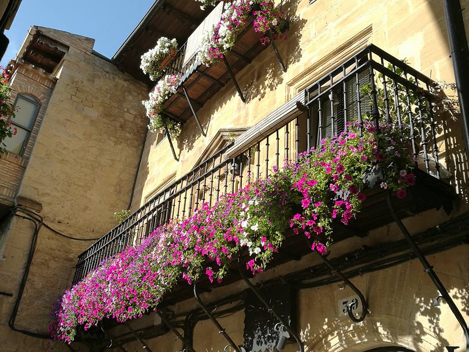 20604297_10211640540720607_8097314194106677859_n