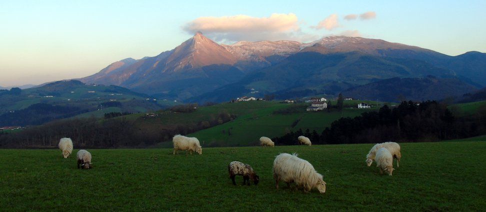 28238316_10213207783900707_3169808303116910100_o