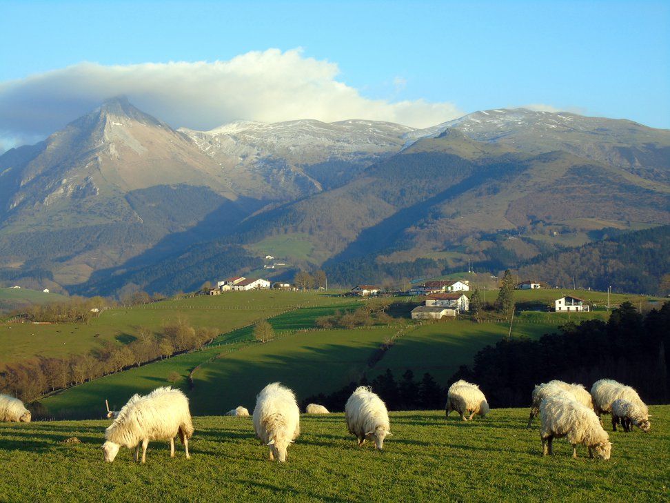 28337443_10213207775340493_2523376045400726033_o