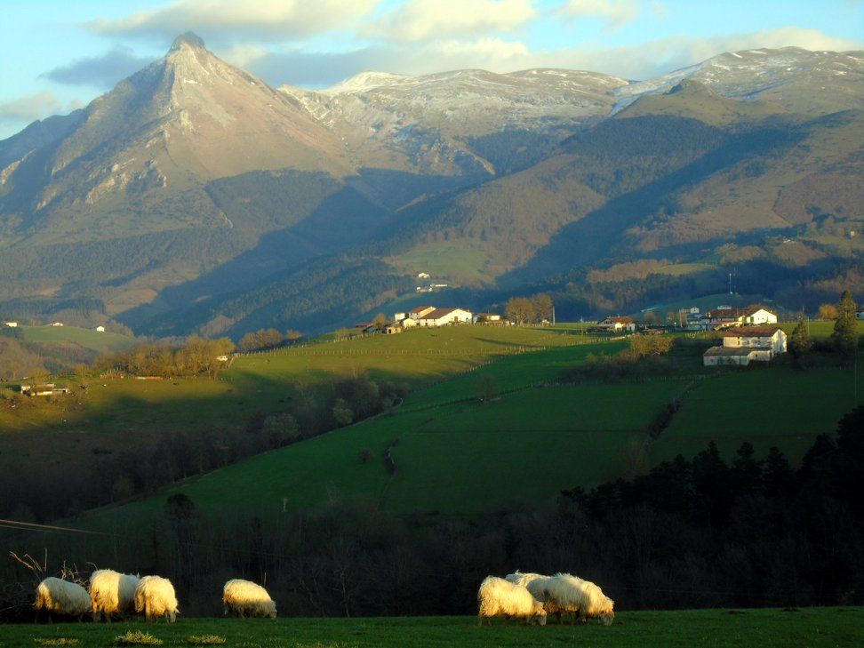 28516502_10213207783860706_4976344265088837340_o