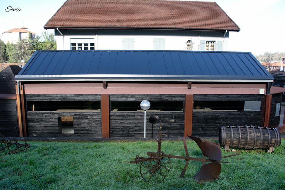 51313199_10215590038735589_2646972246987374592_n