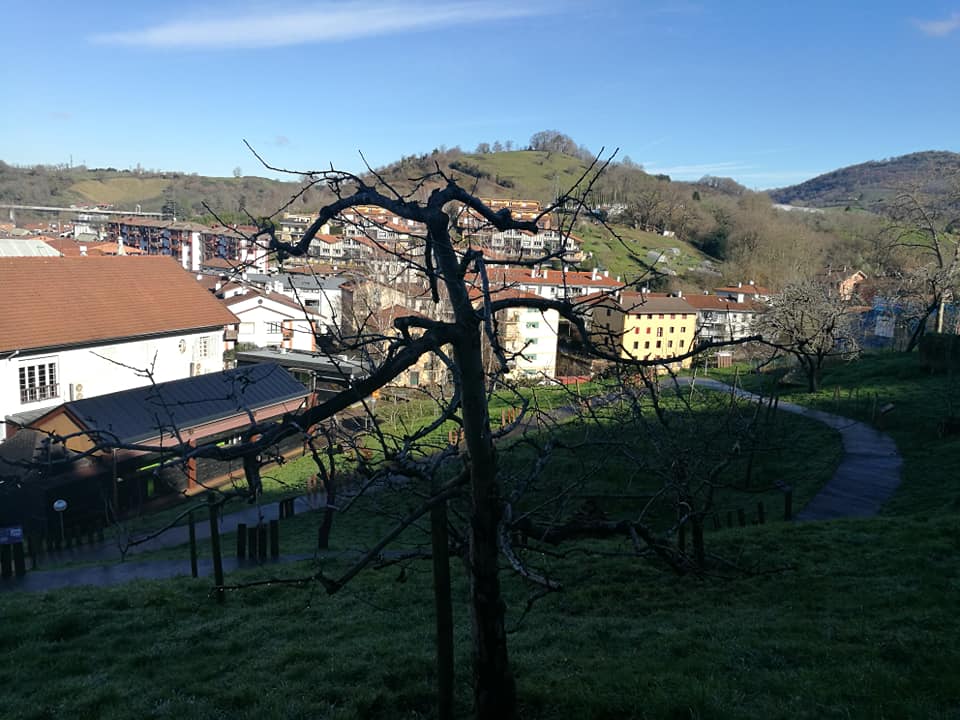 51464690_10215590049575860_2566245347361816576_n