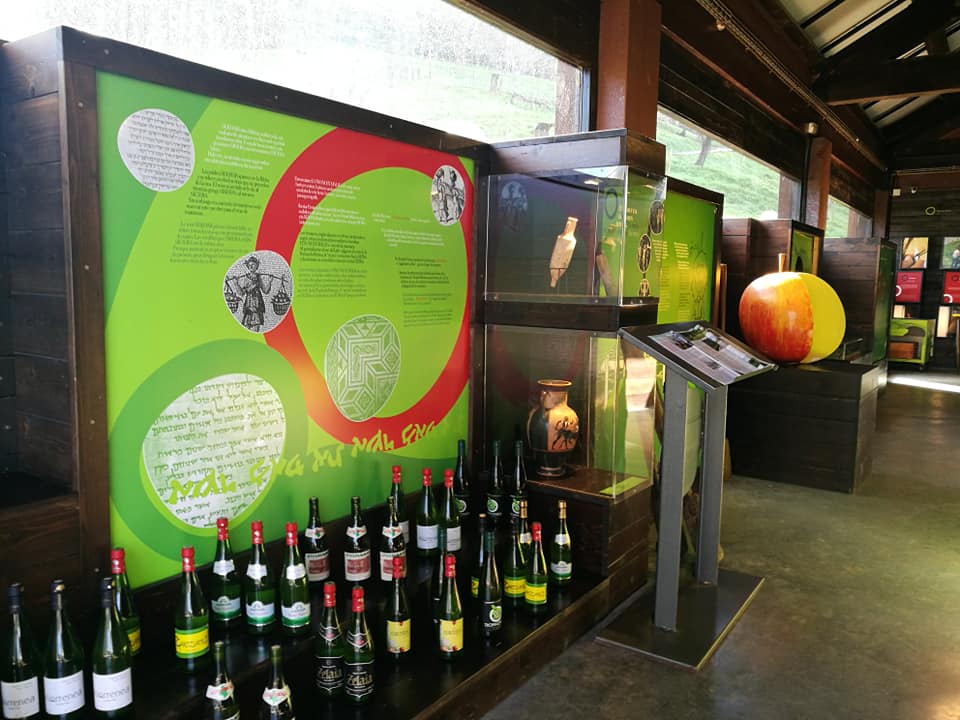 51486745_10215590048855842_3291944243127386112_n