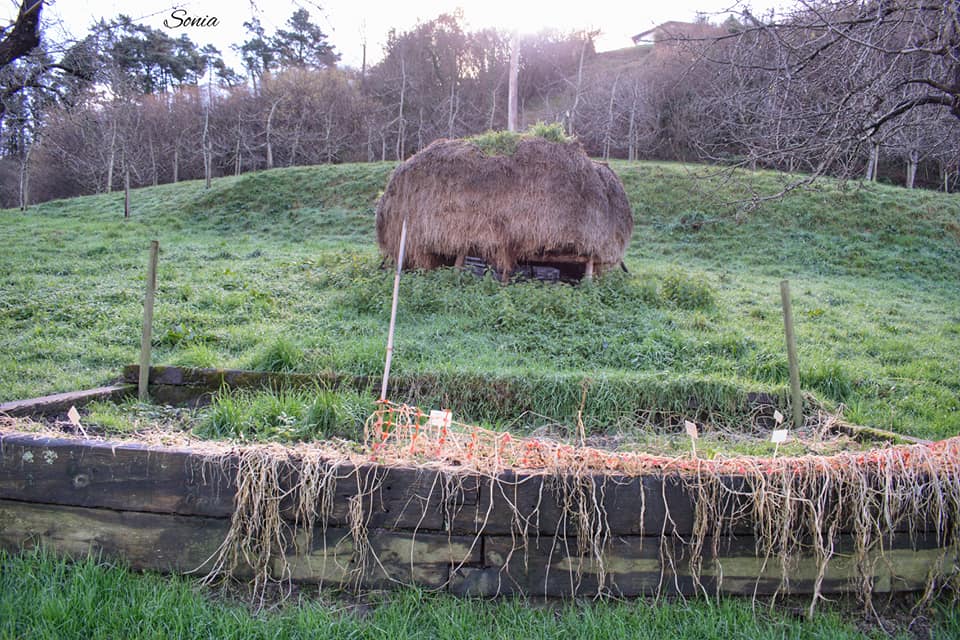 51492256_10215590038495583_411634390112665600_n