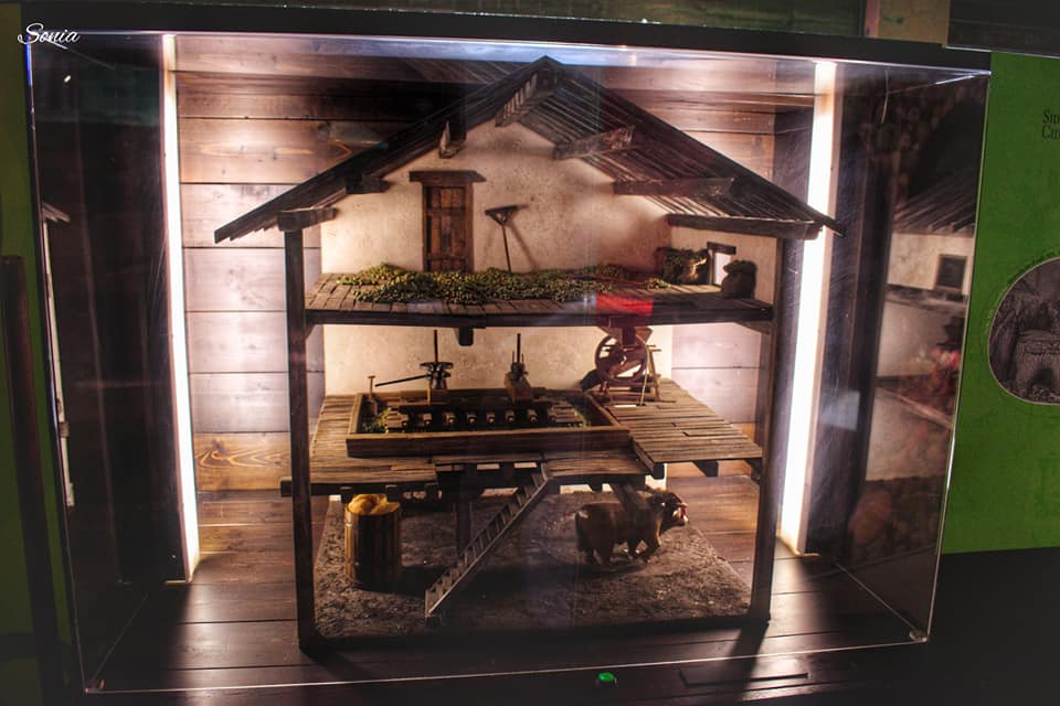 51754553_10215590039335604_8425179852683870208_n