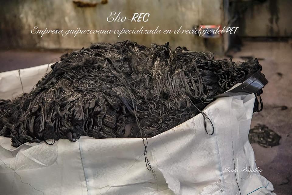 56541992_10215985928632589_4048909500080455680_n