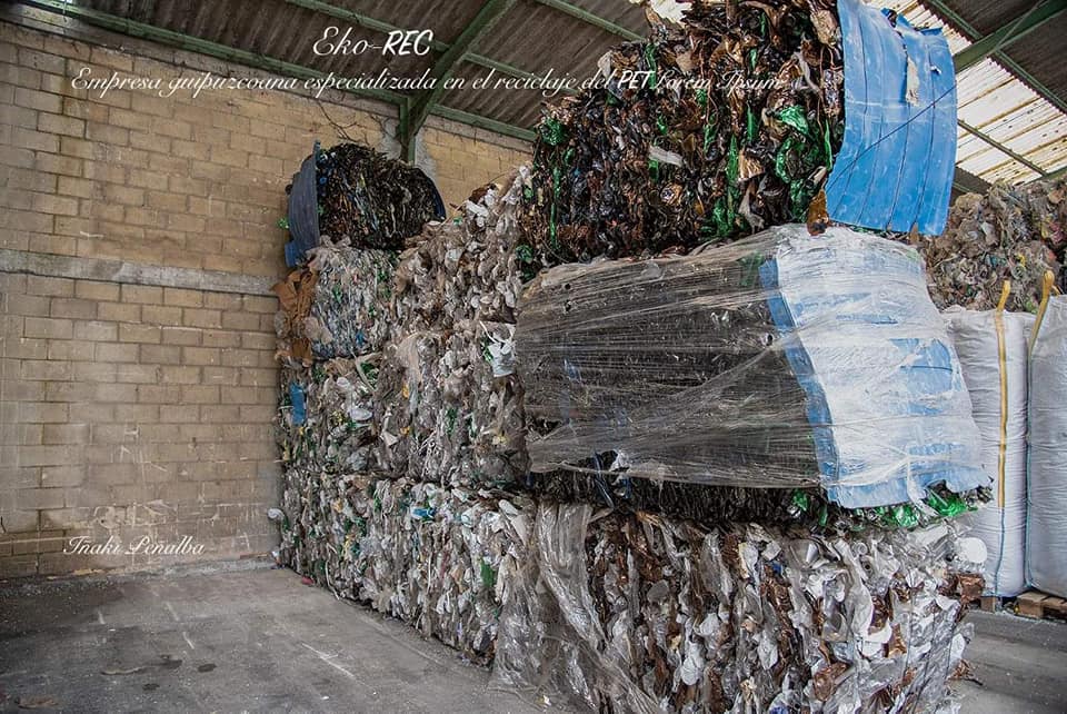 56913390_10215985932032674_6924756276484243456_n