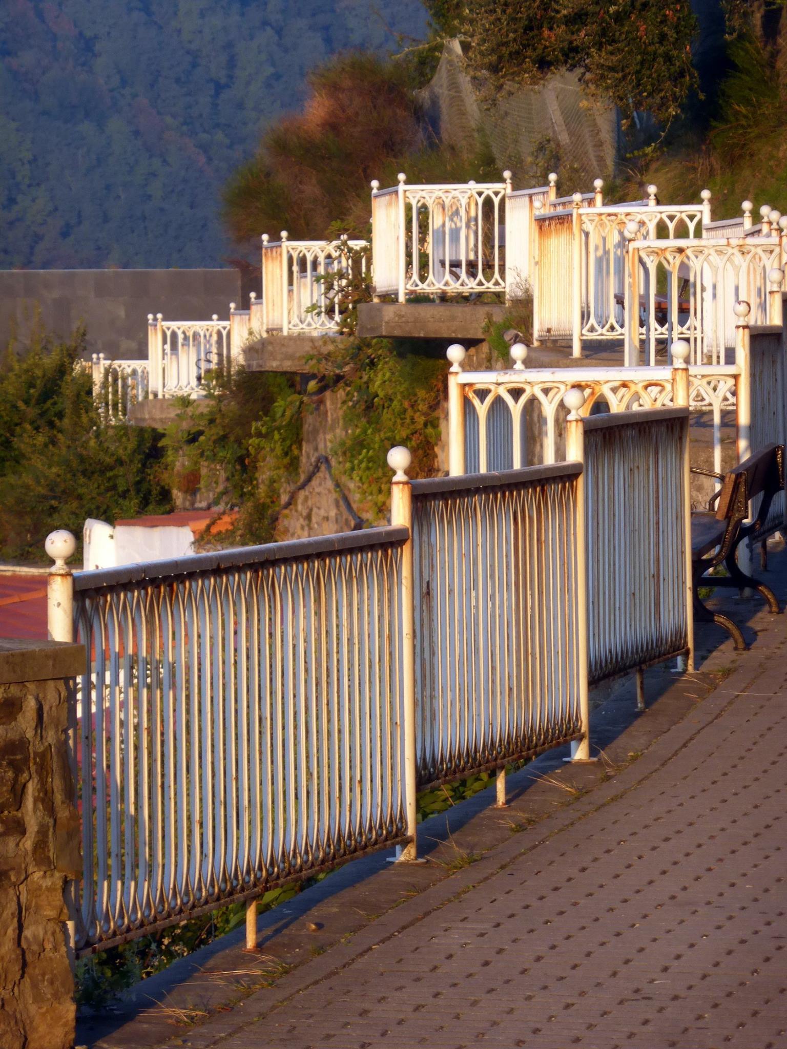 12182748_10206417501187883_5766191880354017119_o