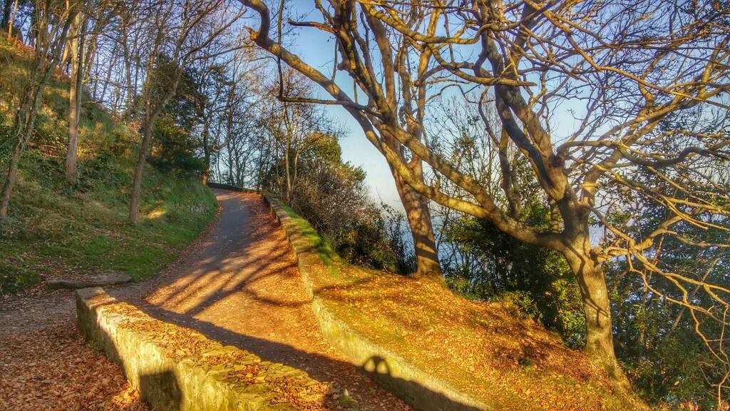 12402218_10206772471141910_2767171326397182421_o