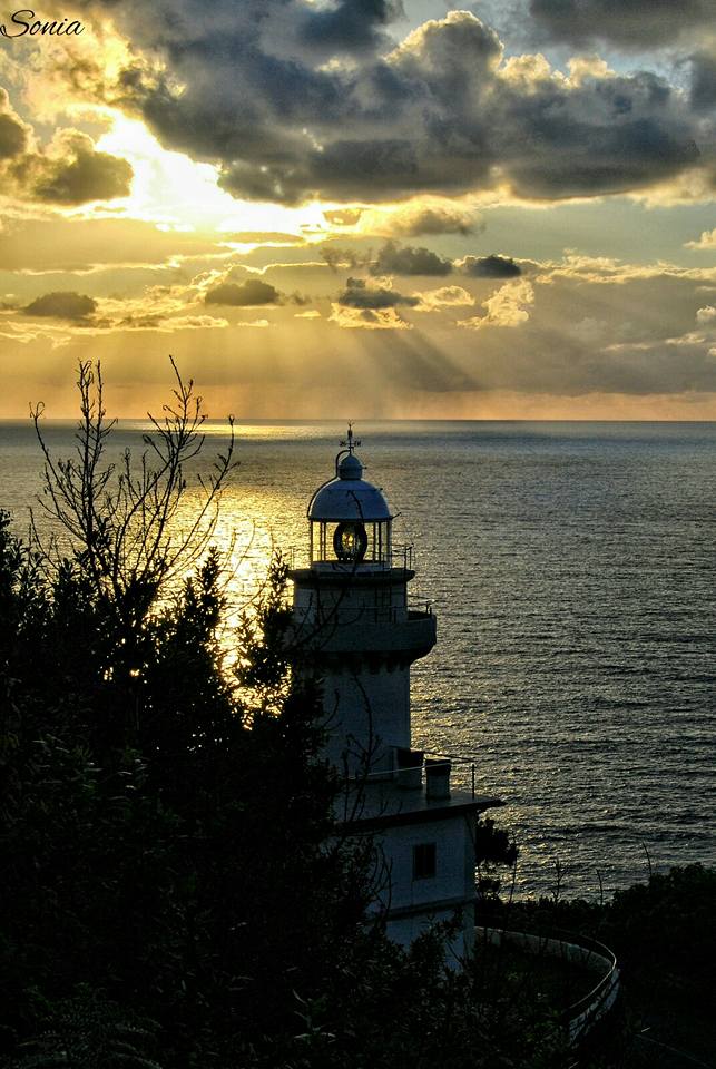 14233236_1214306328599723_9165454528147069673_n