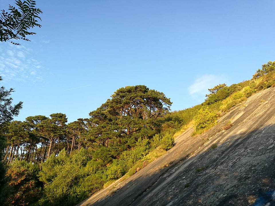 19113497_10211591802062171_82739223874397713_n