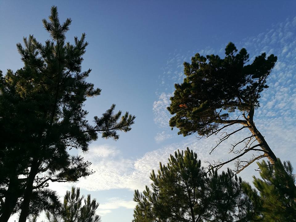 20374536_10211591804982244_7279863512920871596_n