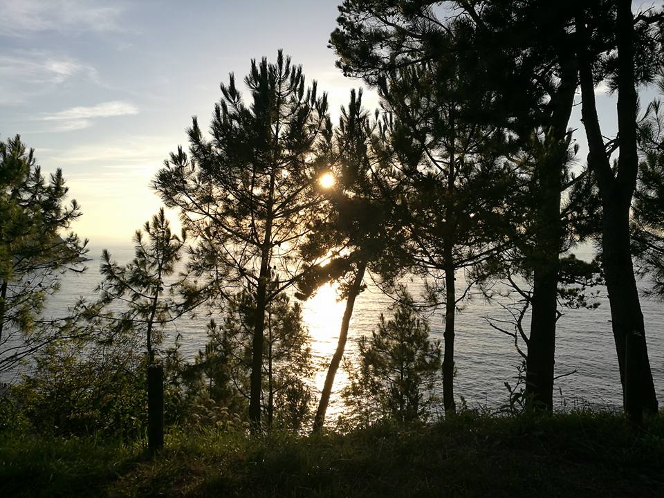 20429816_10211591805622260_7151634747790876861_n