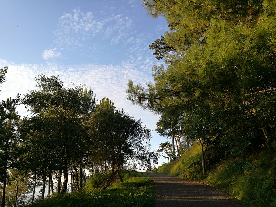 20431449_10211591802782189_7017797143580965023_n