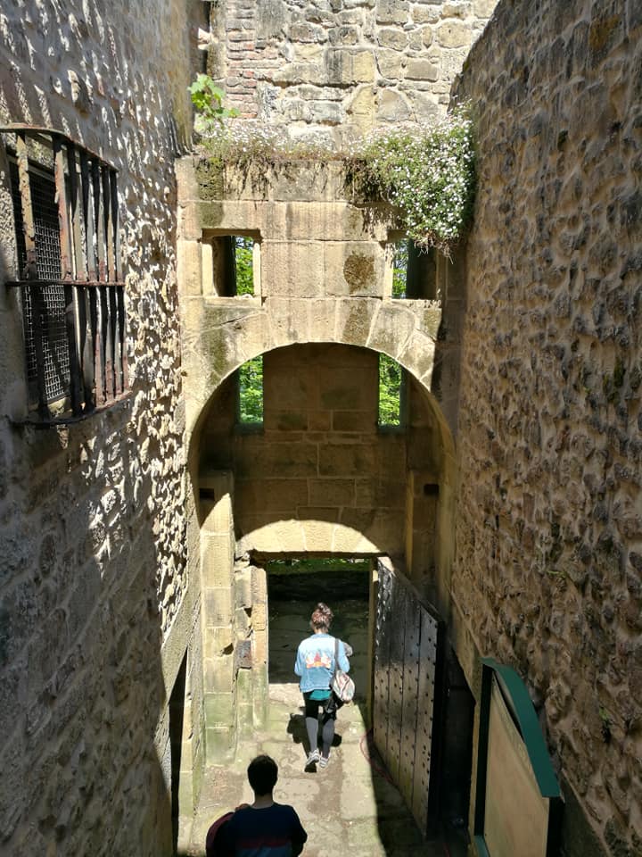 59670335_10216155699476754_305175100171223040_n