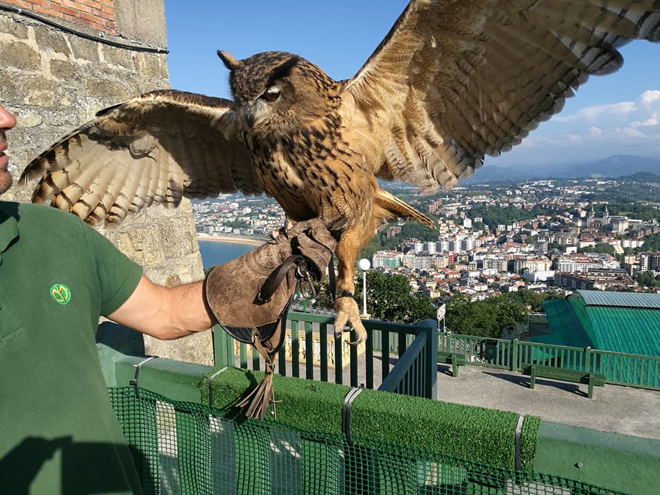 18813575_10211092972391741_1165728239229801643_n