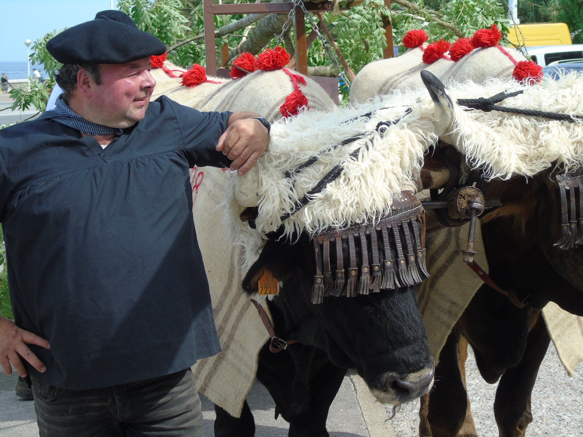 65208632_10216502401864097_6934143687718862848_o