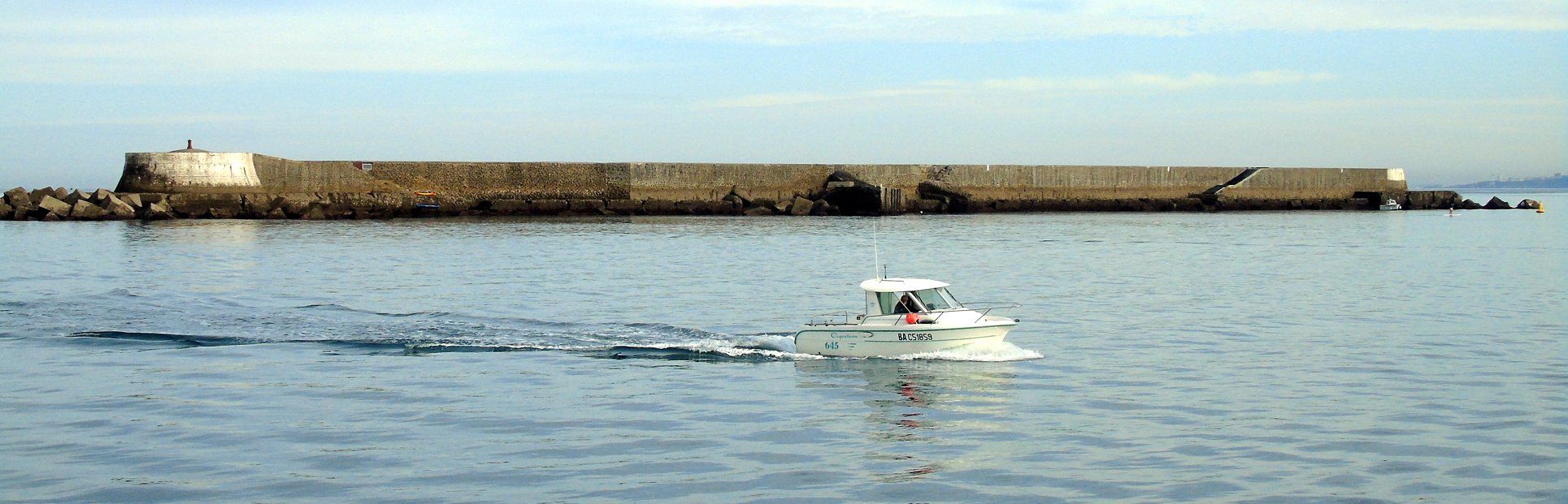 73198776_10217460149927200_6819783032342315008_o