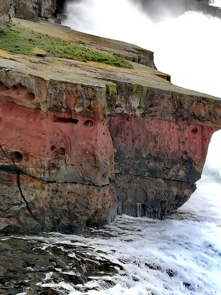 74952581_10217639068840061_6576270627315908608_n