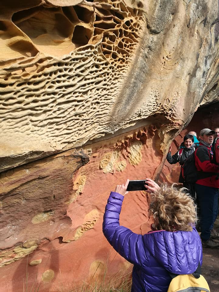 75246780_10217639061679882_7964345001582788608_n