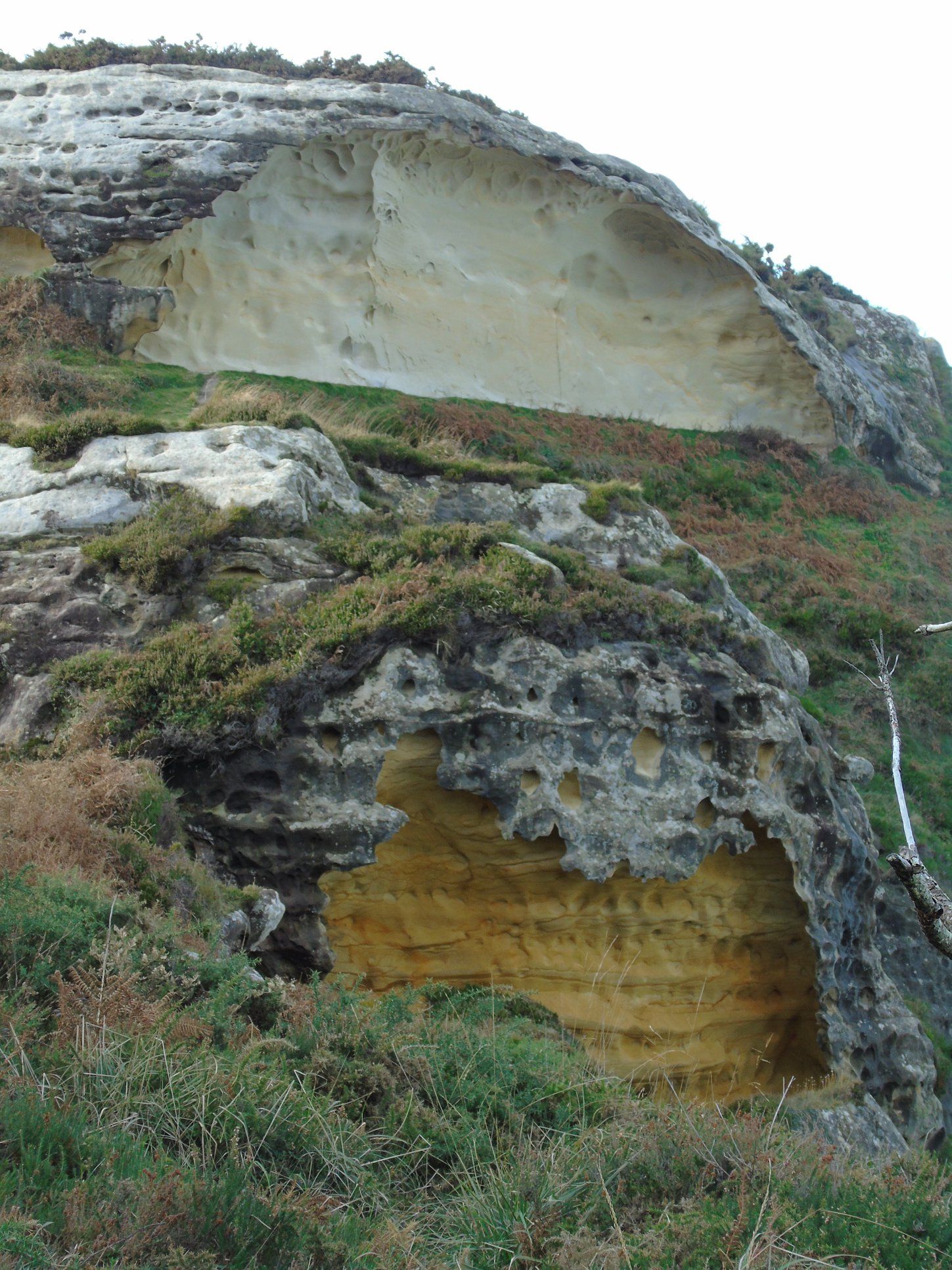 75464411_10217638811353624_741882156443238400_o