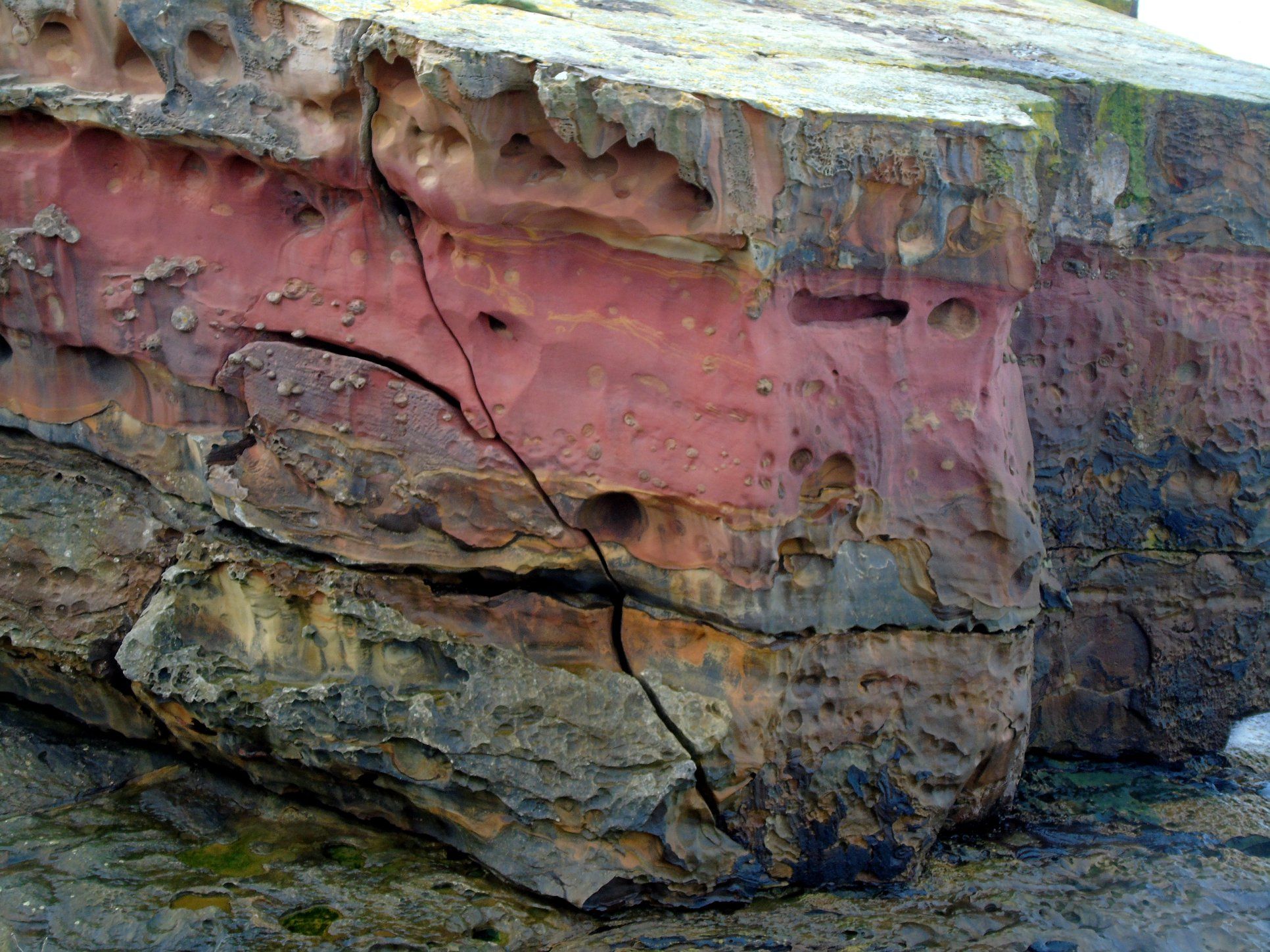 75486005_10217638814833711_5531895977209757696_o